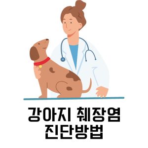 강아지 췌장염 진단방법