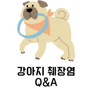 강아지 췌장염 Q&A